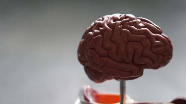 Fitness mózgu – czy każde oddziaływanie na mózg jest treningiem poznawczym?